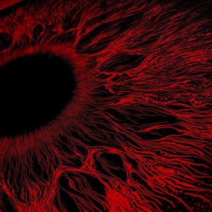 China壮男Gay野外男男
