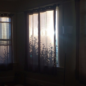 China壮男Gay野外男男
