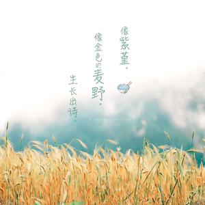 China壮男Gay野外男男
